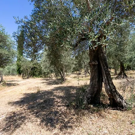 S. Martino 30 * Itri