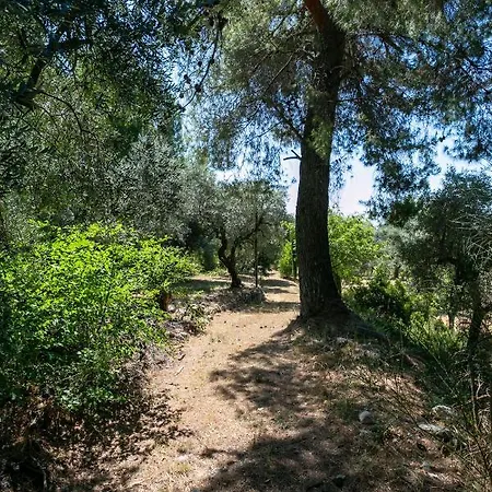 S. Martino 30