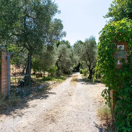 S. Martino 30