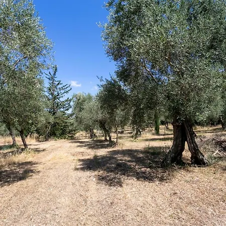 Pensjonat S. Martino 30 Itri