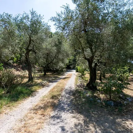 Pensjonat S. Martino 30 *