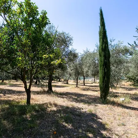 S. Martino 30 * Itri
