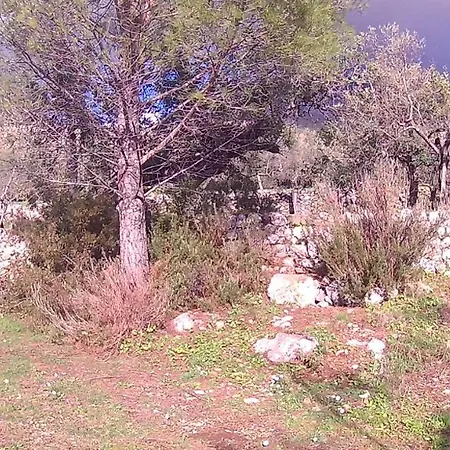 S. Martino 30