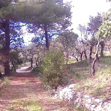 S. Martino 30 Pensjonat *